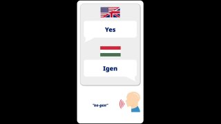 08_igen