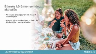 A gyomor működése