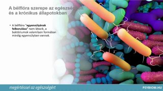 A vastagbél mikrobiomja