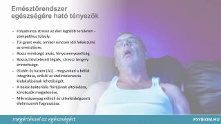 Az emésztőrendszer egészségére ható tényezők