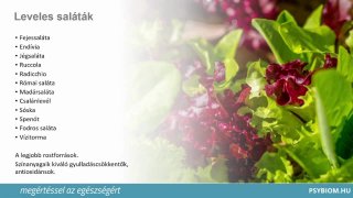 Leveles saláták