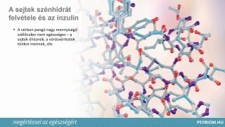 Hogyan emésztjük meg és veszi fel a testünk a szénhidrátokat