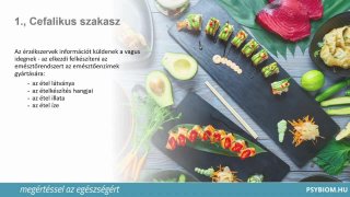 Hogyan kezdődik az emésztésünk