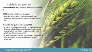 Folyamatok a vékonybélben, máj, epe, hasnyálmirigy, vékonybélfal, glutén